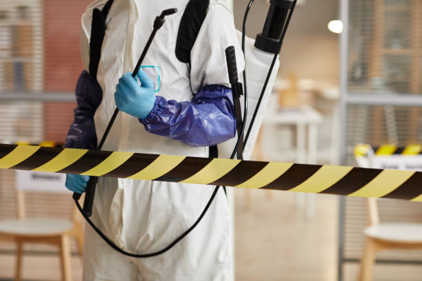 Professional Blood Cleanup technician working in Rudy, AR
